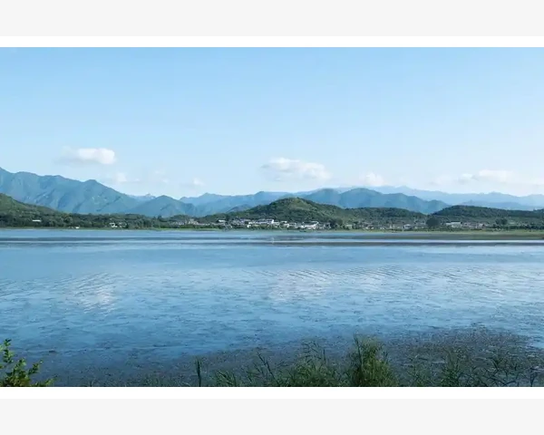 B2B电商平台助力企业降本增效