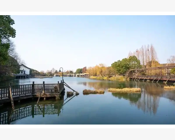 如何通过饮食调理化痰排痰 提升健康 与中医保持亲密接触