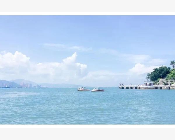 调理肝脾肾中药方剂，让身体健康如初